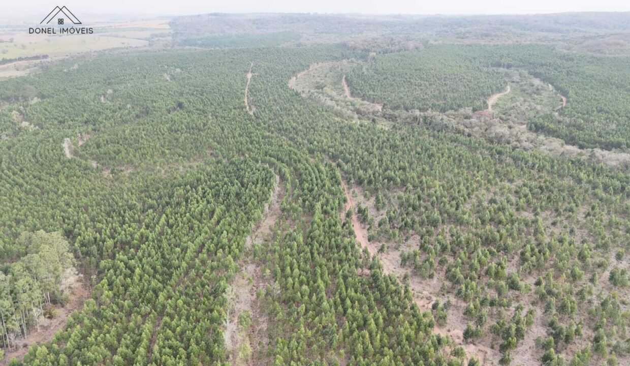 WhatsApp Image 2025-09-17 at 19.02.31