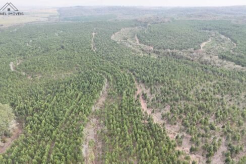 WhatsApp Image 2025-09-17 at 19.02.31