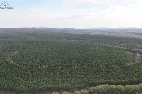 WhatsApp Image 2025-09-17 at 19.02.32 (1)