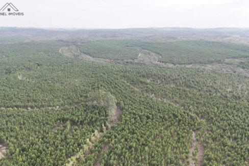 WhatsApp Image 2025-09-17 at 19.02.32 (2)