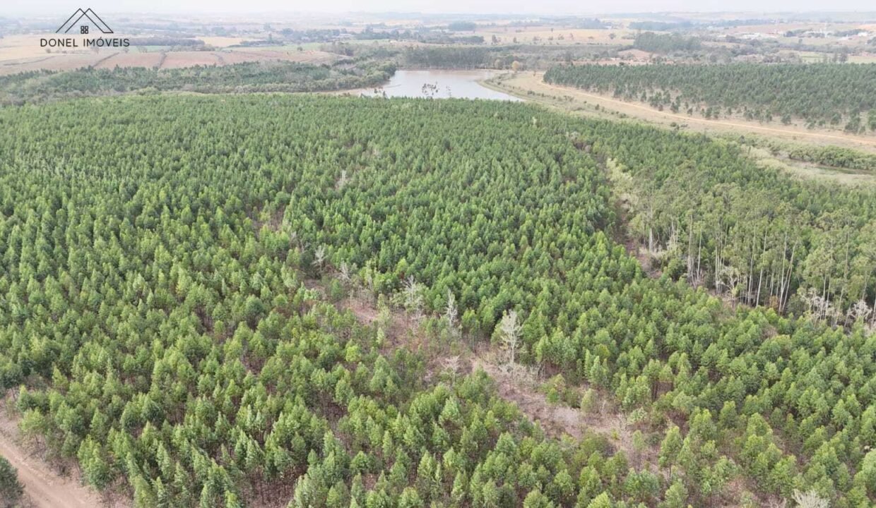 WhatsApp Image 2025-09-17 at 19.02.32 (3)