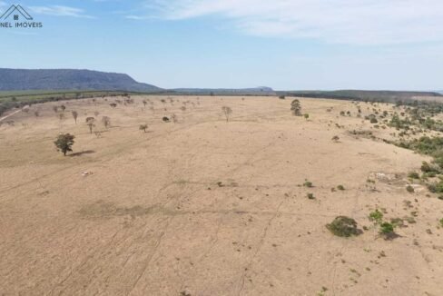 WhatsApp Image 2025-09-19 at 17.11.33