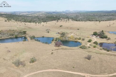 WhatsApp Image 2025-09-19 at 17.11.34 (1)