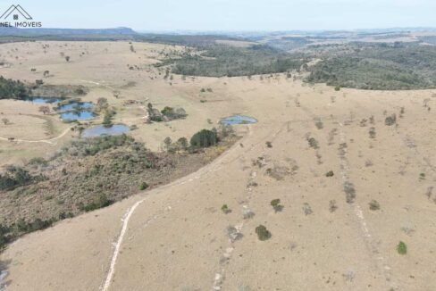 WhatsApp Image 2025-09-19 at 17.11.36 (1)