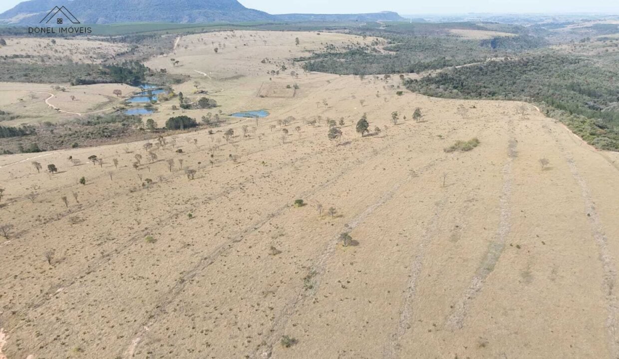 WhatsApp Image 2025-09-19 at 17.11.36