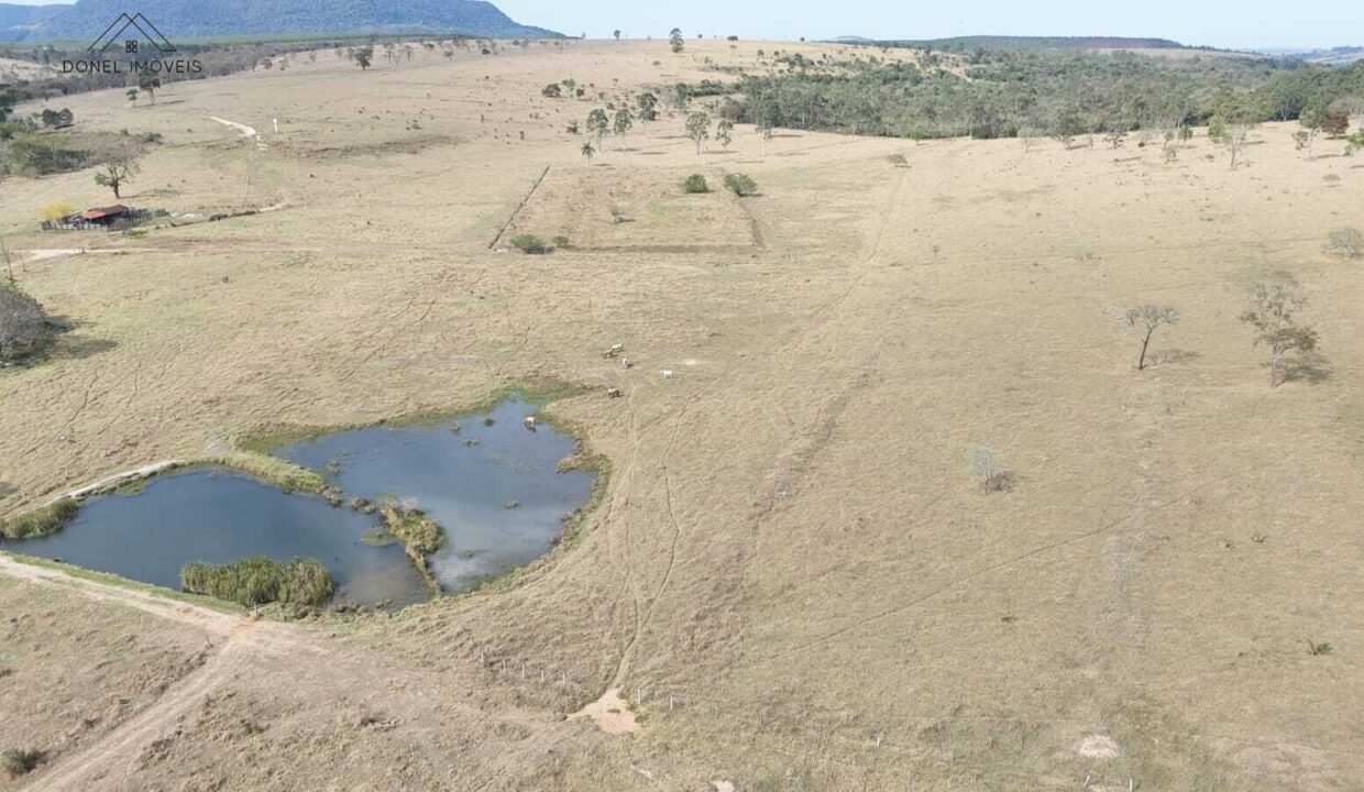 WhatsApp Image 2025-09-19 at 17.11.38