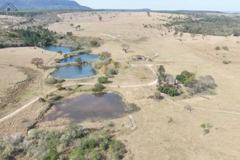 WhatsApp Image 2025-09-19 at 17.11.38 (2)