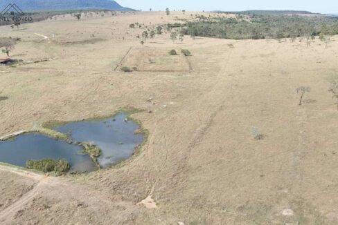 WhatsApp Image 2025-09-19 at 17.11.38