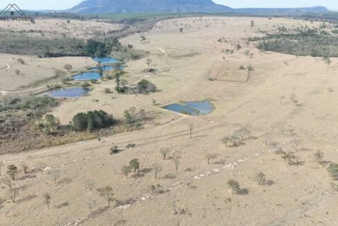 WhatsApp Image 2025-09-19 at 17.11.39 (1)