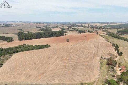 WhatsApp Image 2025-09-26 at 14.13.47 (2)