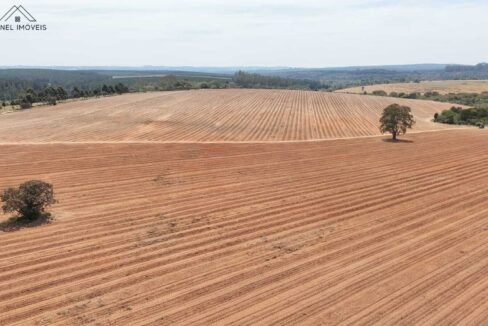 WhatsApp Image 2025-09-26 at 14.13.48 (1)