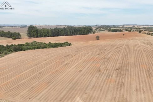 WhatsApp Image 2025-09-26 at 14.13.48 (2)