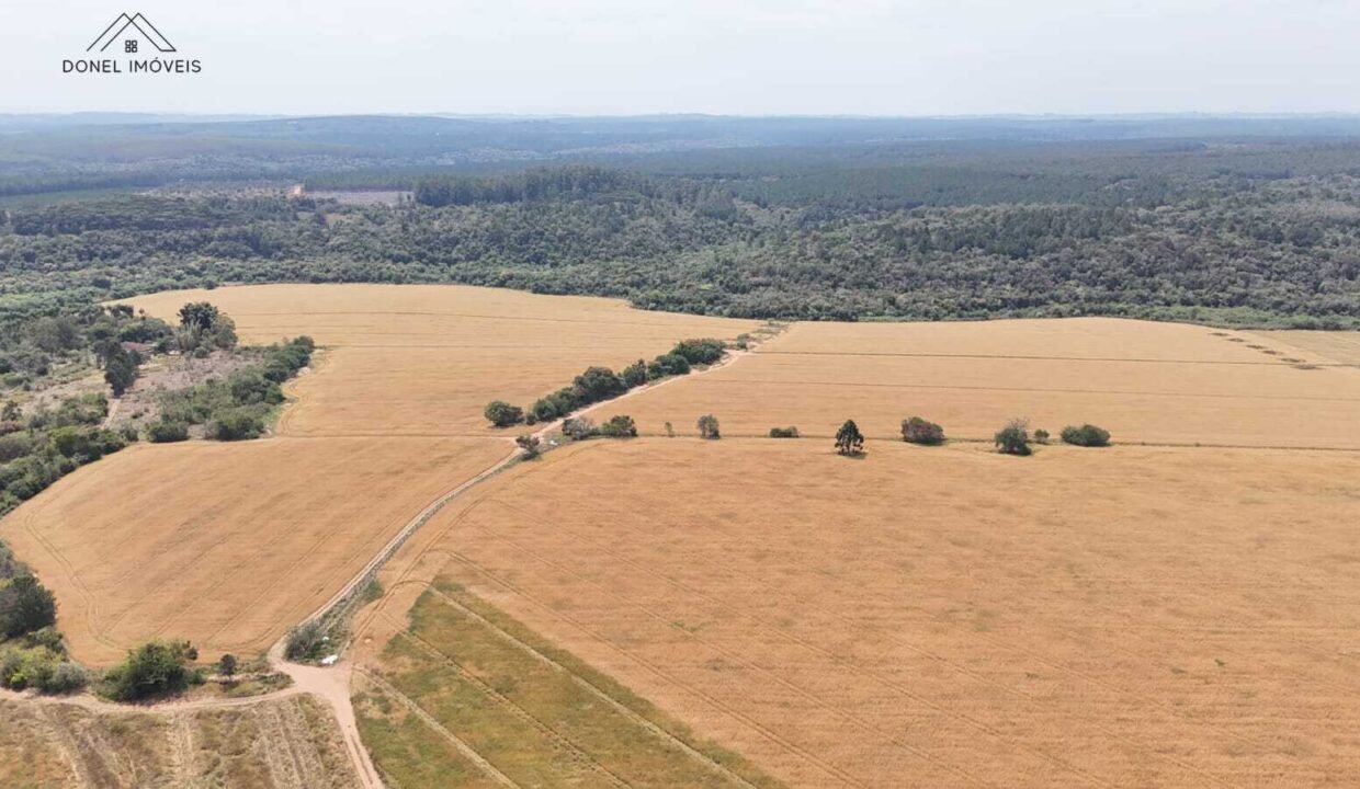 WhatsApp Image 2025-09-26 at 14.13.48 (3)