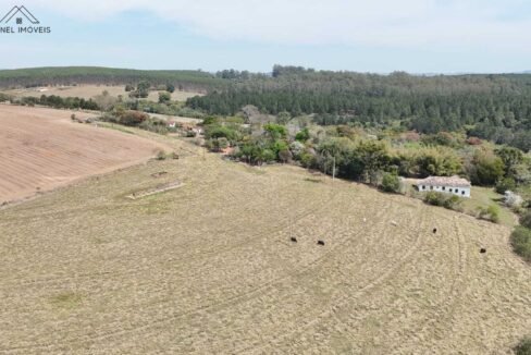 WhatsApp Image 2025-09-26 at 14.13.48