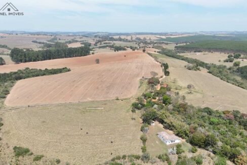 WhatsApp Image 2025-09-26 at 14.13.50