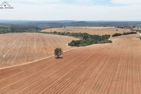 WhatsApp Image 2025-09-26 at 14.13.51 (1)