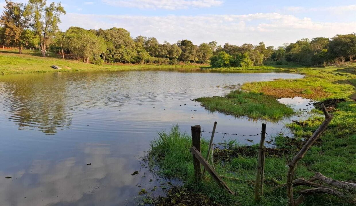 WhatsApp Image 2025-10-14 at 15.44.05 (2)