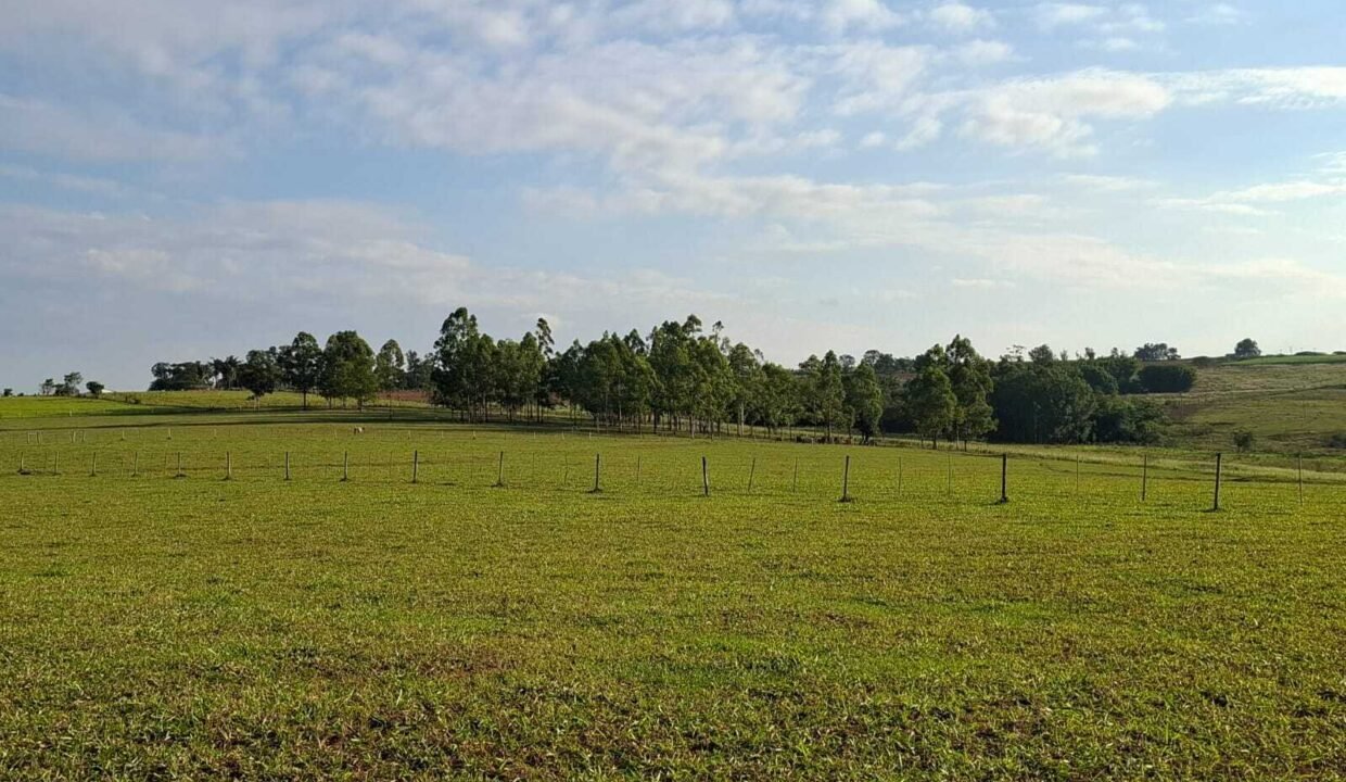 WhatsApp Image 2025-10-14 at 15.44.06 (1)