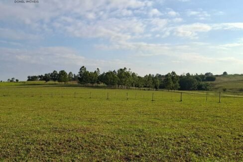 WhatsApp Image 2025-10-14 at 15.44.06 (1)