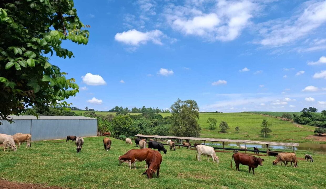 WhatsApp Image 2025-10-14 at 15.44.07 (2)