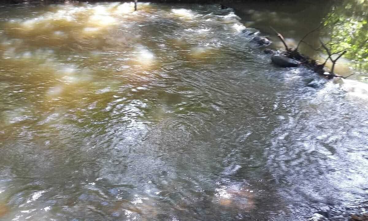 WhatsApp Image 2025-10-14 at 15.44.08 (1)