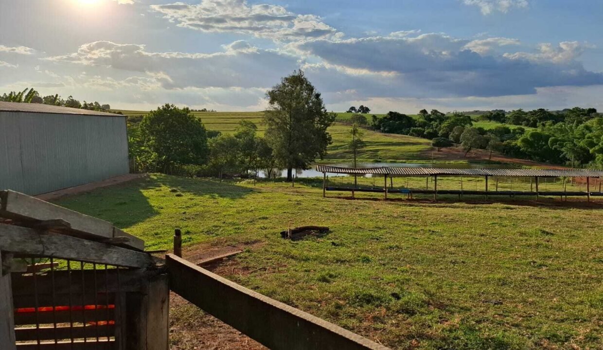 WhatsApp Image 2025-10-14 at 15.44.09