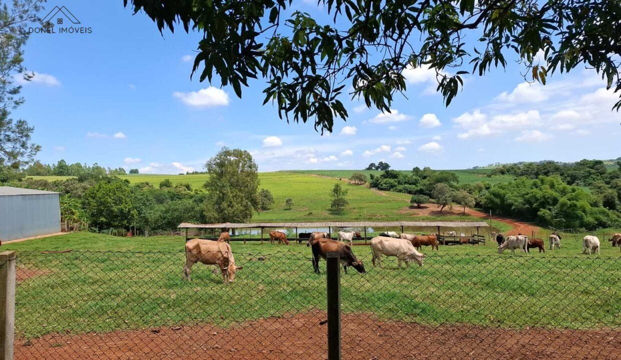 WhatsApp Image 2025-10-14 at 15.44.10