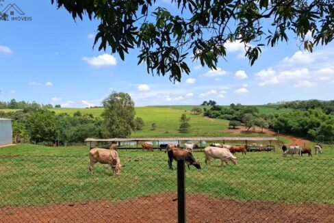 WhatsApp Image 2025-10-14 at 15.44.10