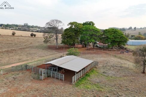 WhatsApp Image 2025-10-14 at 15.44.11