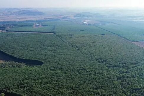 WhatsApp Image 2025-10-21 at 12.34.22 (1)