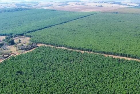 WhatsApp Image 2025-10-21 at 12.34.22