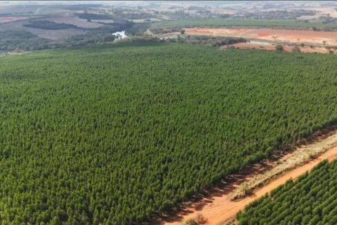 WhatsApp Image 2025-10-21 at 12.34.24 (1)