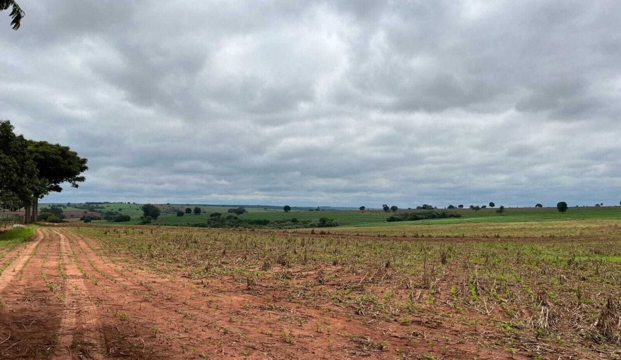 WhatsApp Image 2025-11-12 at 13.43.55