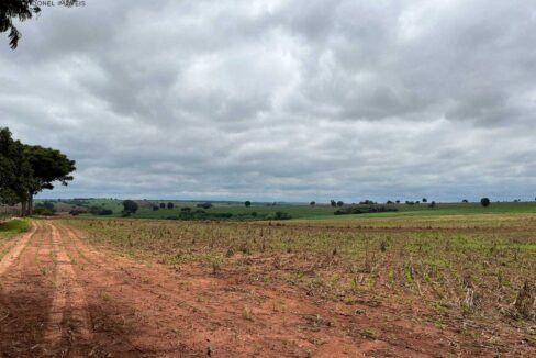 WhatsApp Image 2025-11-12 at 13.43.55