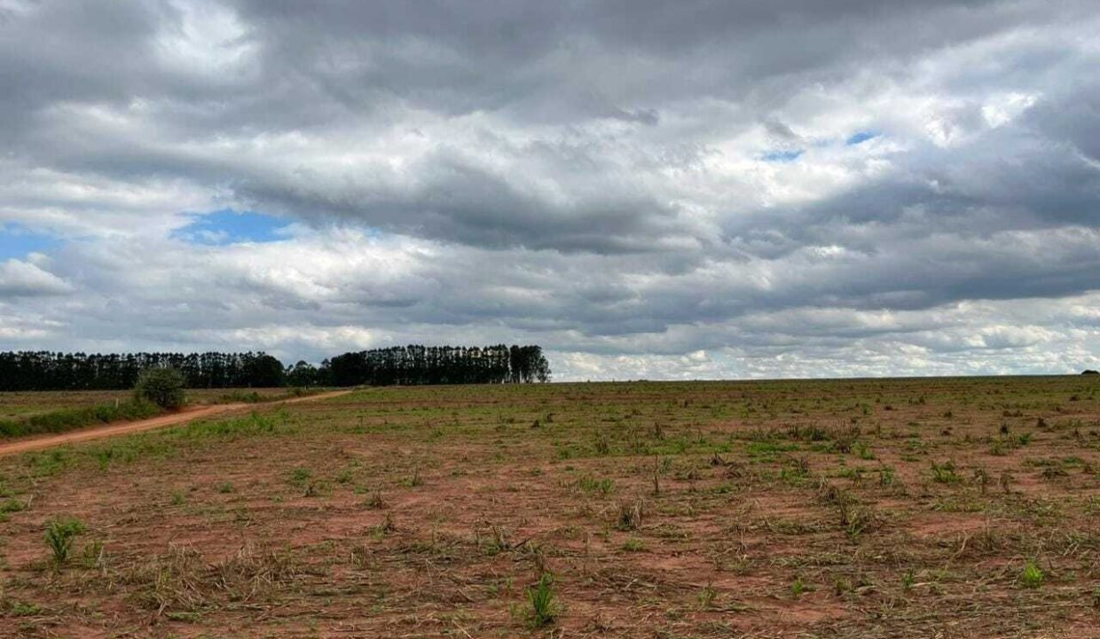 WhatsApp Image 2025-11-12 at 13.43.56