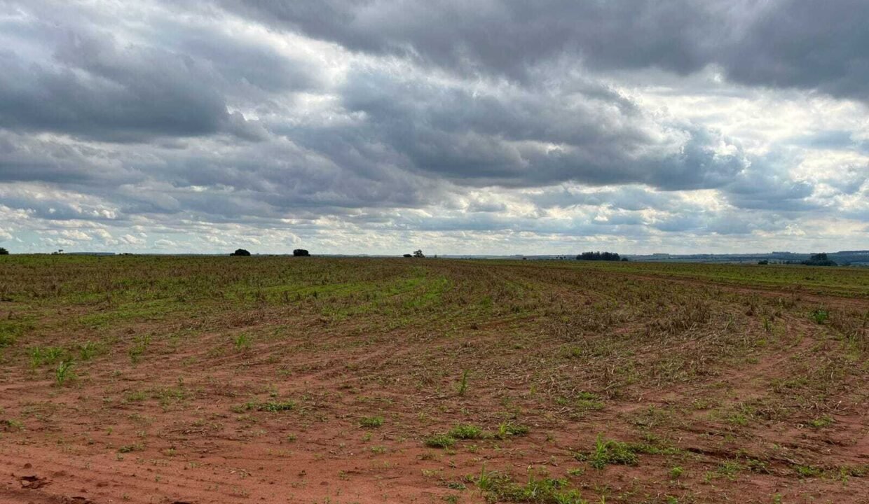 WhatsApp Image 2025-11-12 at 13.43.57 (1)