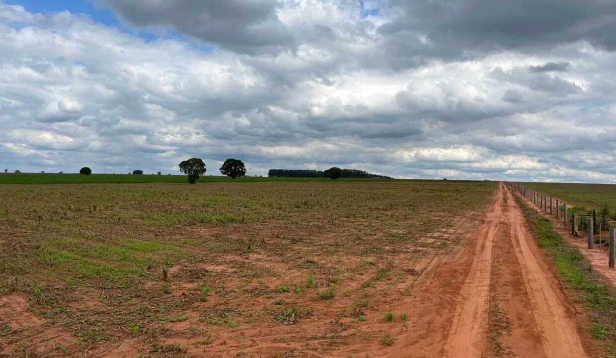 WhatsApp Image 2025-11-12 at 13.43.57