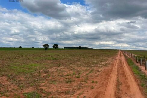 WhatsApp Image 2025-11-12 at 13.43.57