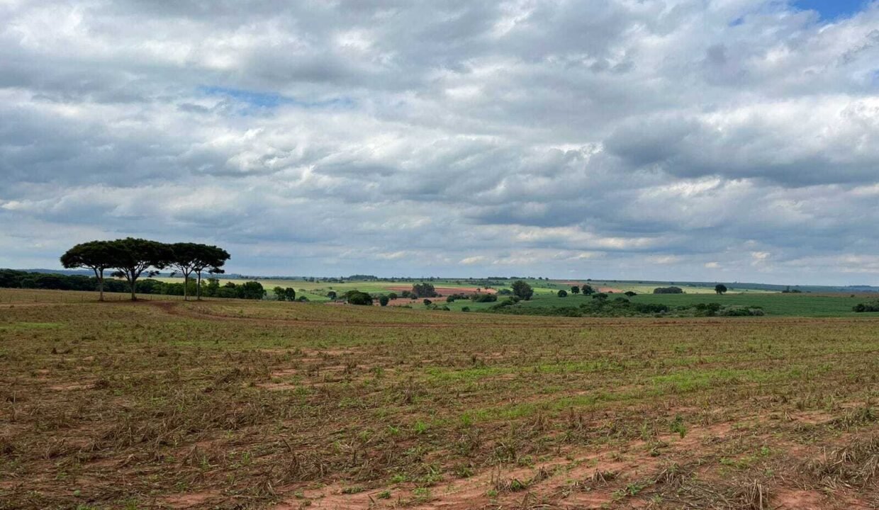 WhatsApp Image 2025-11-12 at 13.43.58 (1)