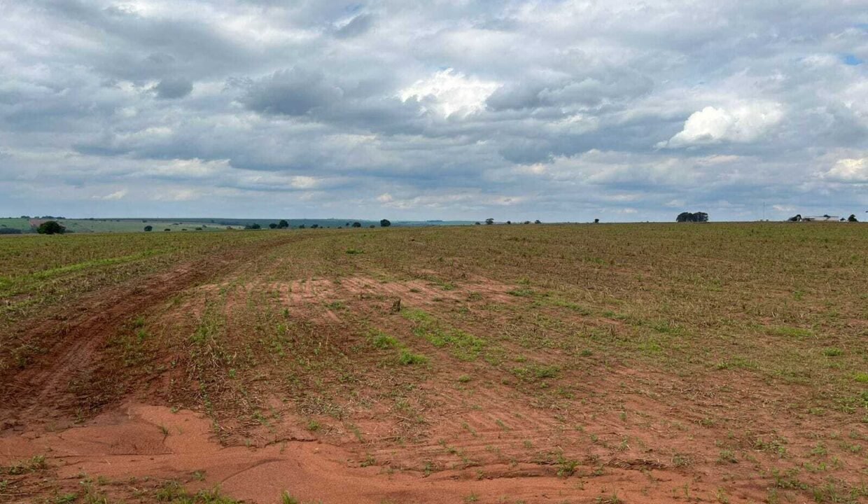 WhatsApp Image 2025-11-12 at 13.43.58