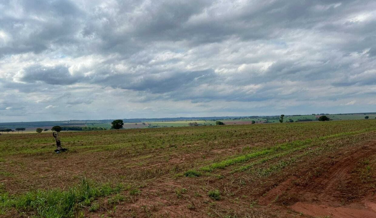 WhatsApp Image 2025-11-12 at 13.43.58 (2)