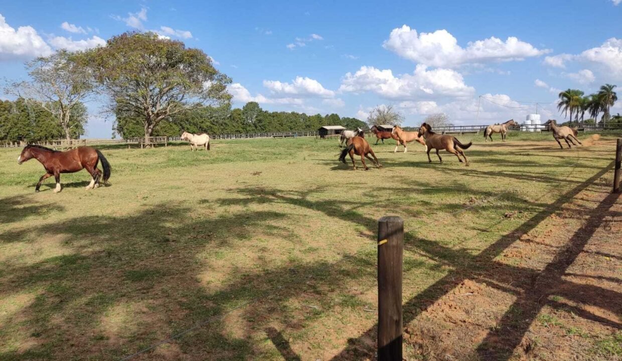 WhatsApp Image 2025-11-12 at 13.45.25 (1)