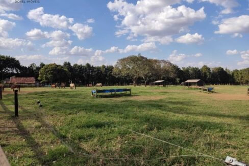 WhatsApp Image 2025-11-12 at 13.45.25 (3)