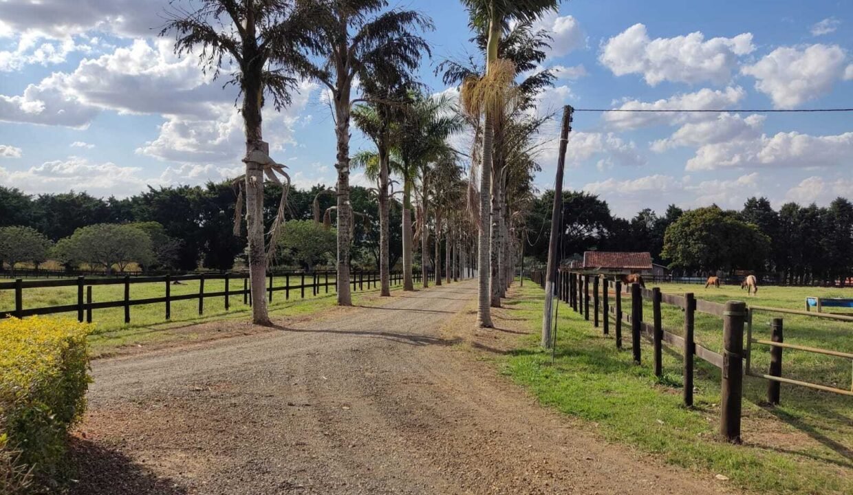 WhatsApp Image 2025-11-12 at 13.45.26