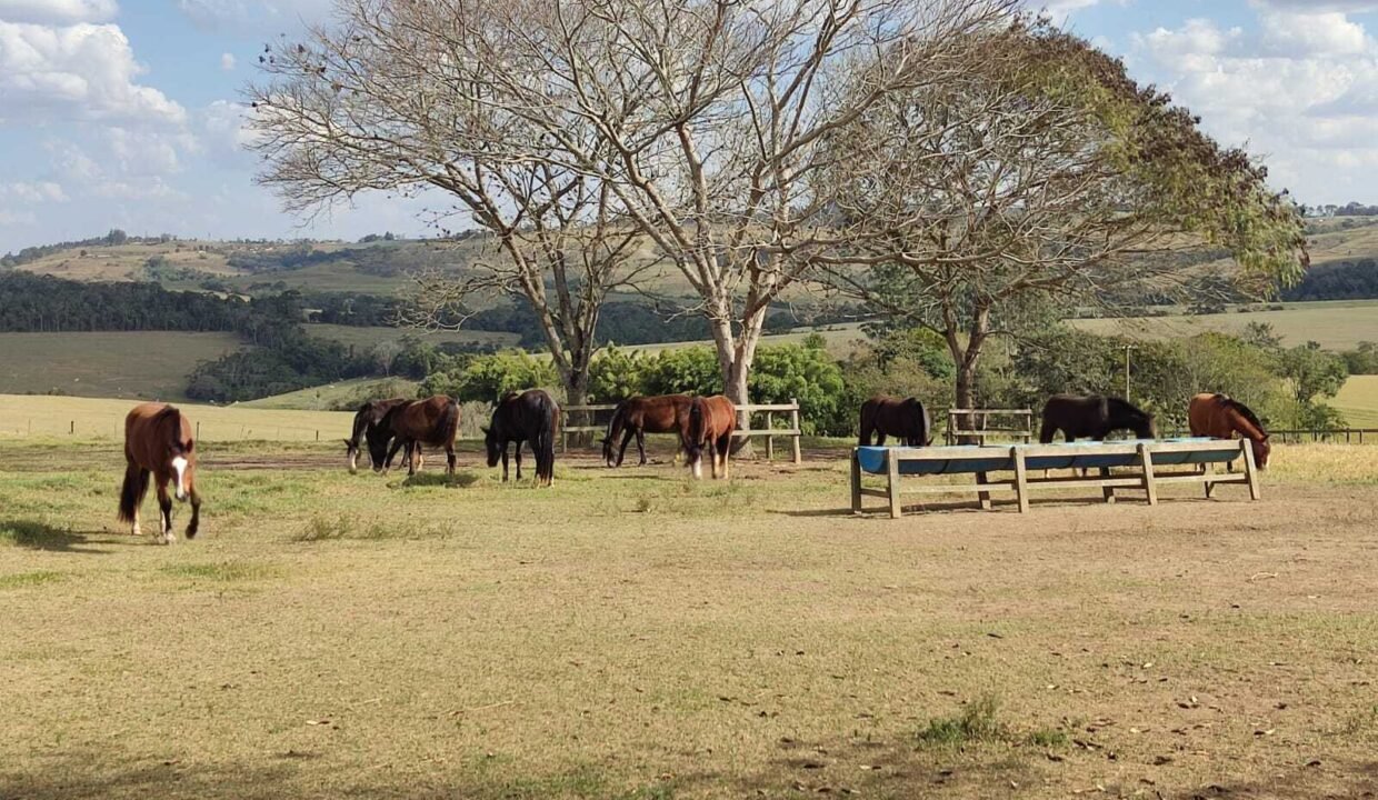 WhatsApp Image 2025-11-12 at 13.45.27 (1)