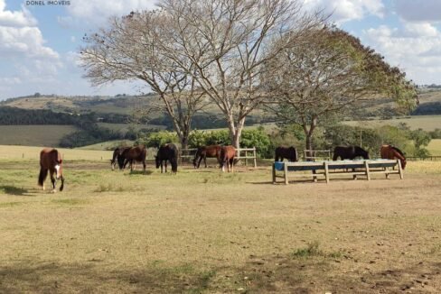 WhatsApp Image 2025-11-12 at 13.45.27 (1)