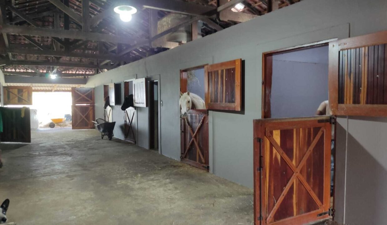 WhatsApp Image 2025-11-12 at 13.45.27