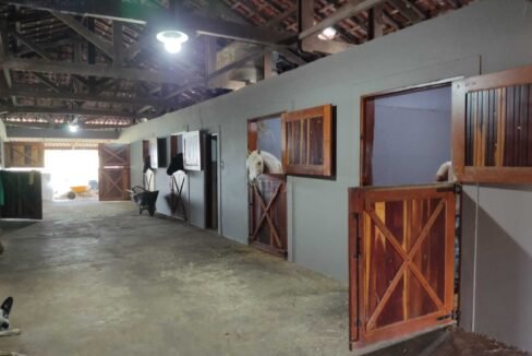 WhatsApp Image 2025-11-12 at 13.45.27