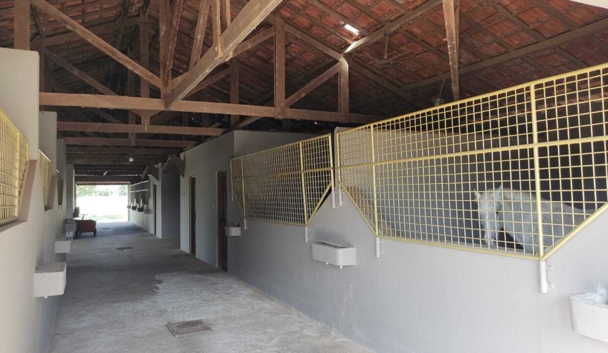 WhatsApp Image 2025-11-12 at 13.45.28 (1)