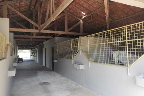 WhatsApp Image 2025-11-12 at 13.45.28 (1)